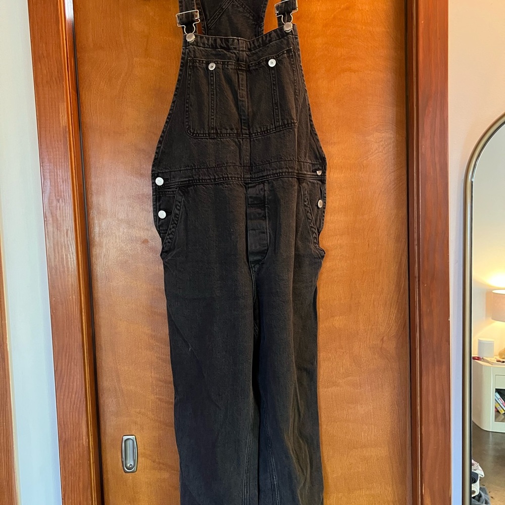 We the free denim overalls